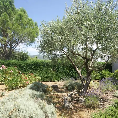 La Petite Truffe Villa Aups